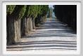 tenuta_di_arceno183