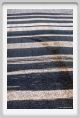 tenuta_di_arceno184