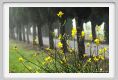 tenuta_di_arceno090