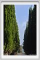 tenuta_di_arceno186