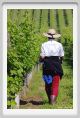 tenuta_di_arceno195