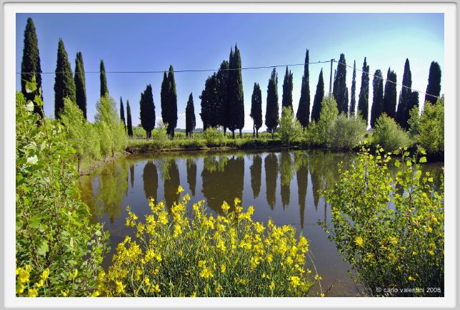 tenuta_di_arceno258