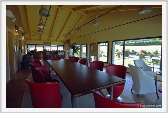 tenuta_di_arceno276