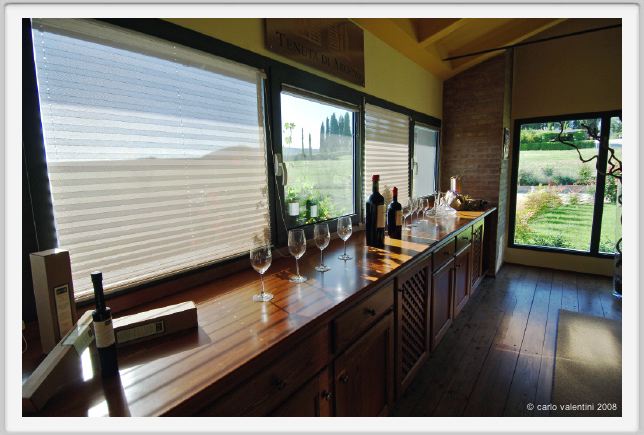 tenuta_di_arceno279