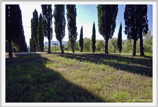 tenuta_di_arceno266