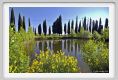 tenuta_di_arceno258