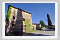 tenuta_di_arceno270