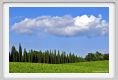 tenuta_di_arceno271