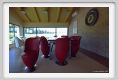 tenuta_di_arceno273