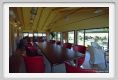 tenuta_di_arceno276