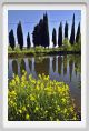 tenuta_di_arceno259