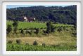 tenuta_di_arceno283