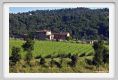 tenuta_di_arceno284
