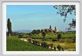 tenuta_di_arceno286