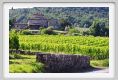 tenuta_di_arceno261