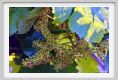 tenuta_di_arceno304