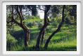 tenuta_di_arceno314