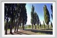 tenuta_di_arceno267