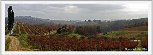 tenuta_di_arceno017