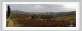 tenuta_di_arceno017