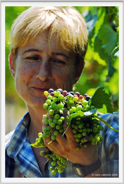 tenuta_di_arceno373
