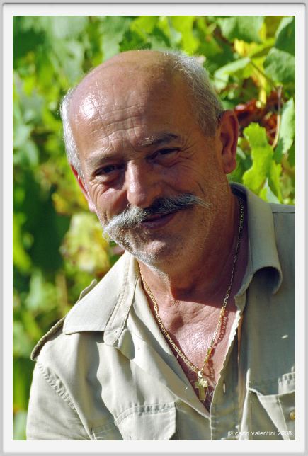 tenuta_di_arceno516