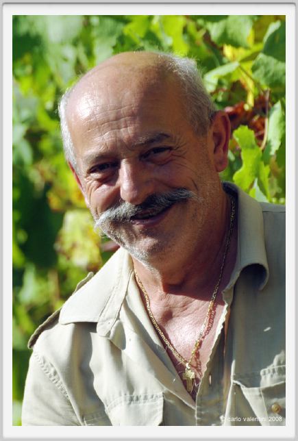 tenuta_di_arceno517
