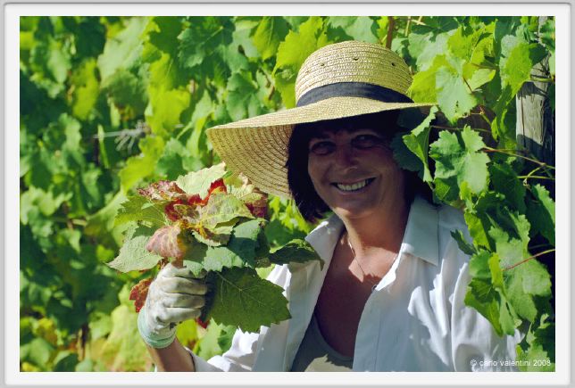 tenuta_di_arceno534
