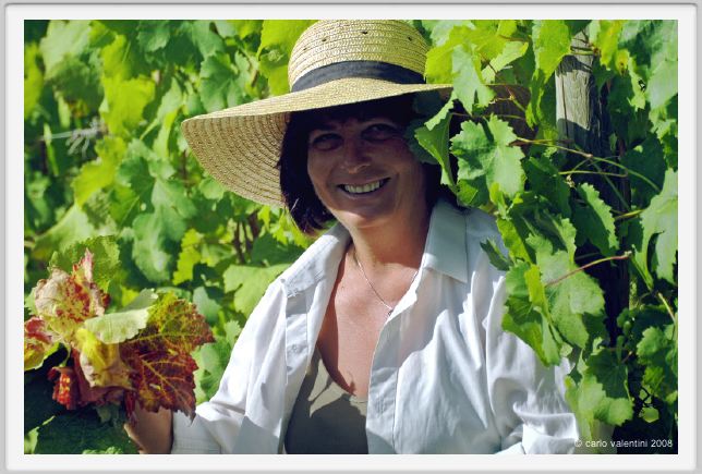 tenuta_di_arceno536