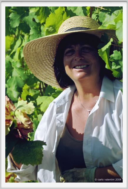 tenuta_di_arceno537