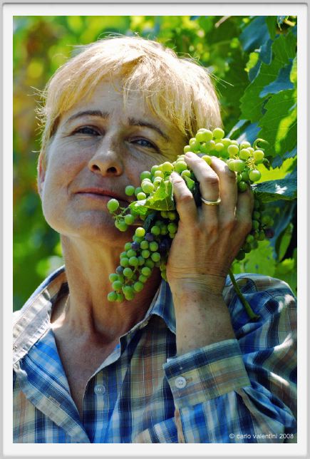 tenuta_di_arceno381