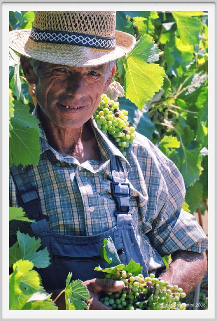 tenuta_di_arceno430
