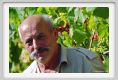 tenuta_di_arceno513
