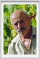 tenuta_di_arceno515