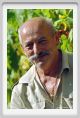 tenuta_di_arceno516
