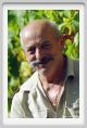 tenuta_di_arceno517