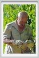 tenuta_di_arceno518