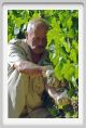 tenuta_di_arceno519