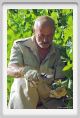 tenuta_di_arceno520