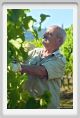 tenuta_di_arceno525
