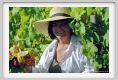 tenuta_di_arceno536