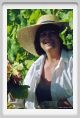 tenuta_di_arceno537