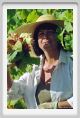 tenuta_di_arceno538