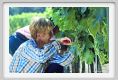tenuta_di_arceno383