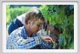 tenuta_di_arceno386