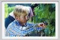tenuta_di_arceno387