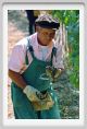 tenuta_di_arceno403