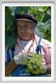 tenuta_di_arceno405