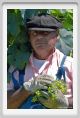 tenuta_di_arceno406