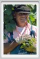 tenuta_di_arceno409